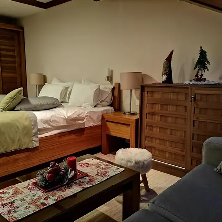 Διαμέρισμα Lux B614, Vucko, Jahorina, Private Host